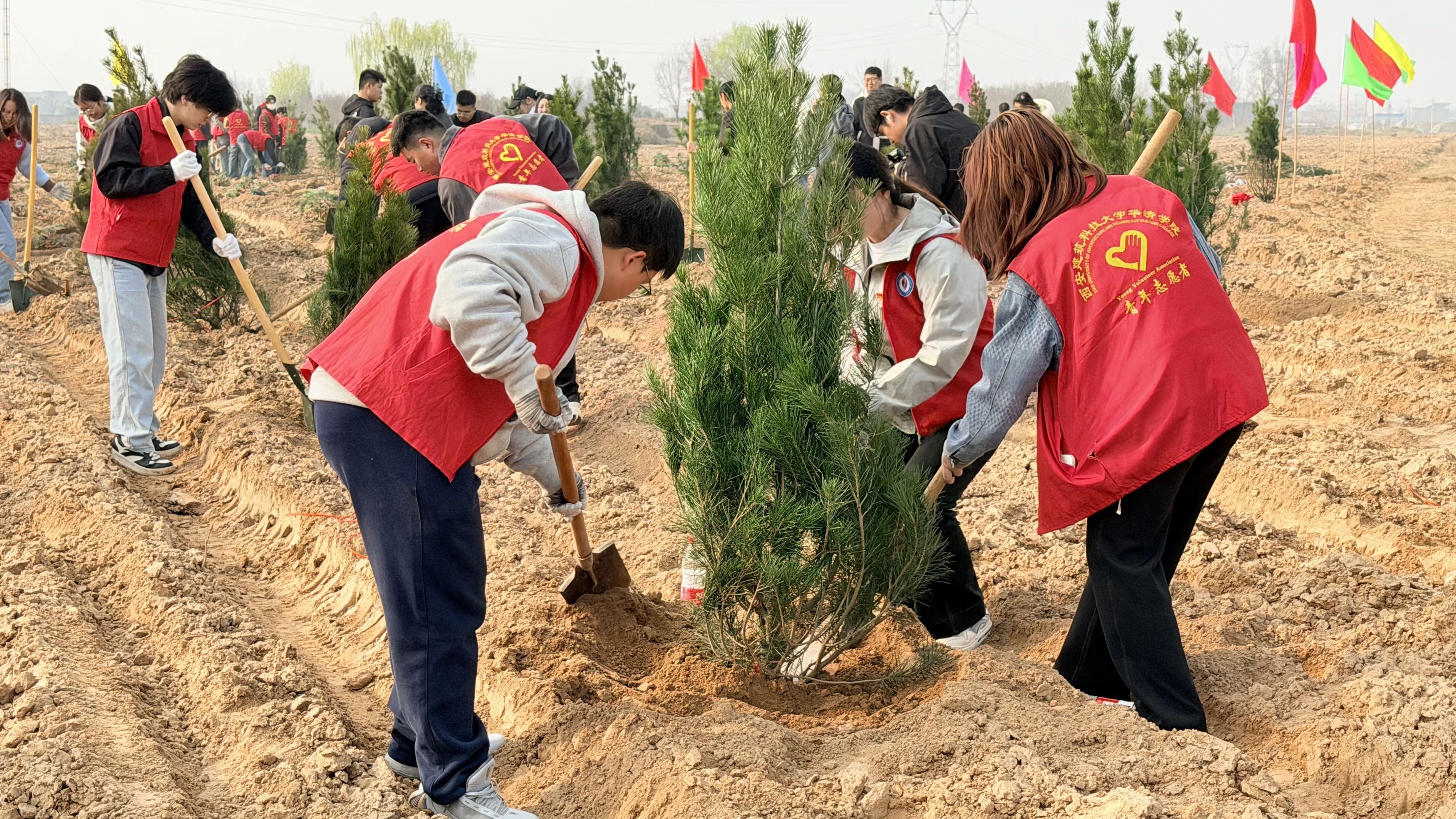 1774858873834354.jpg 1774858873834354.jpg