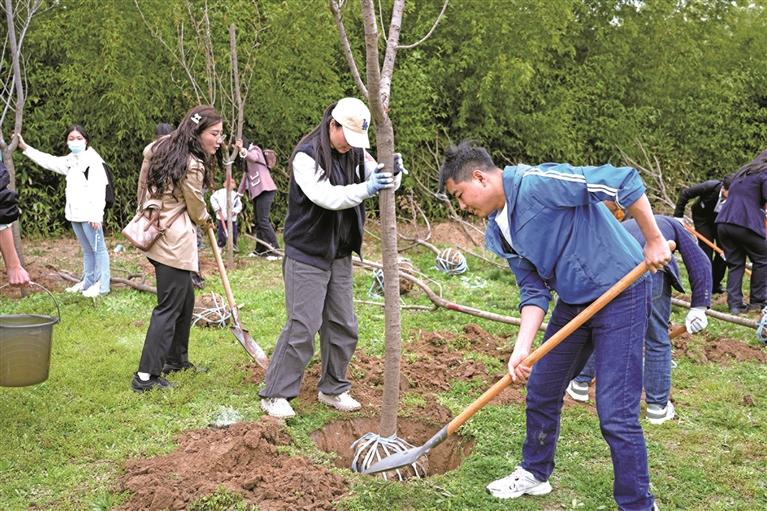 1774921235446644.jpg 1774921235446644.jpg