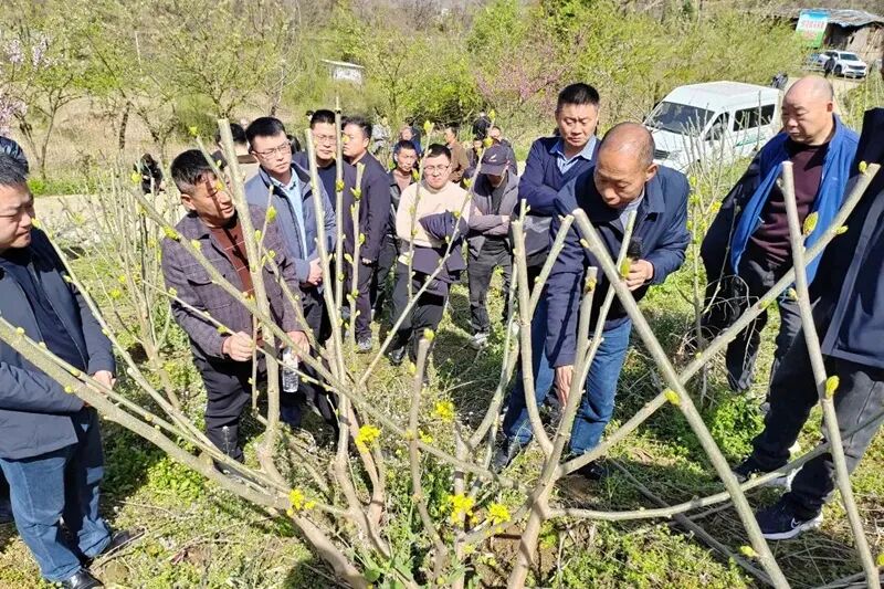 1778136175649227.jpg 1778136175649227.jpg