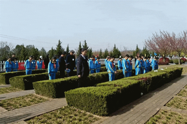 1778136450720936.gif 1778136450720936.gif